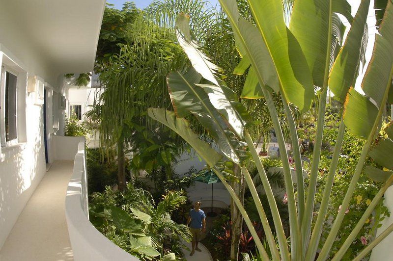 Aqualuna Boutique Hotel By Sunrise (Adults Only) Playa del Carmen Eksteriør billede